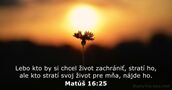 Matúš 16:25