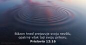 Príslovia 12:16