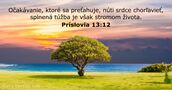 Príslovia 13:12