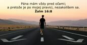 Žalm 16:8