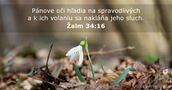 Žalm 34:16