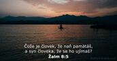 Žalm 8:5