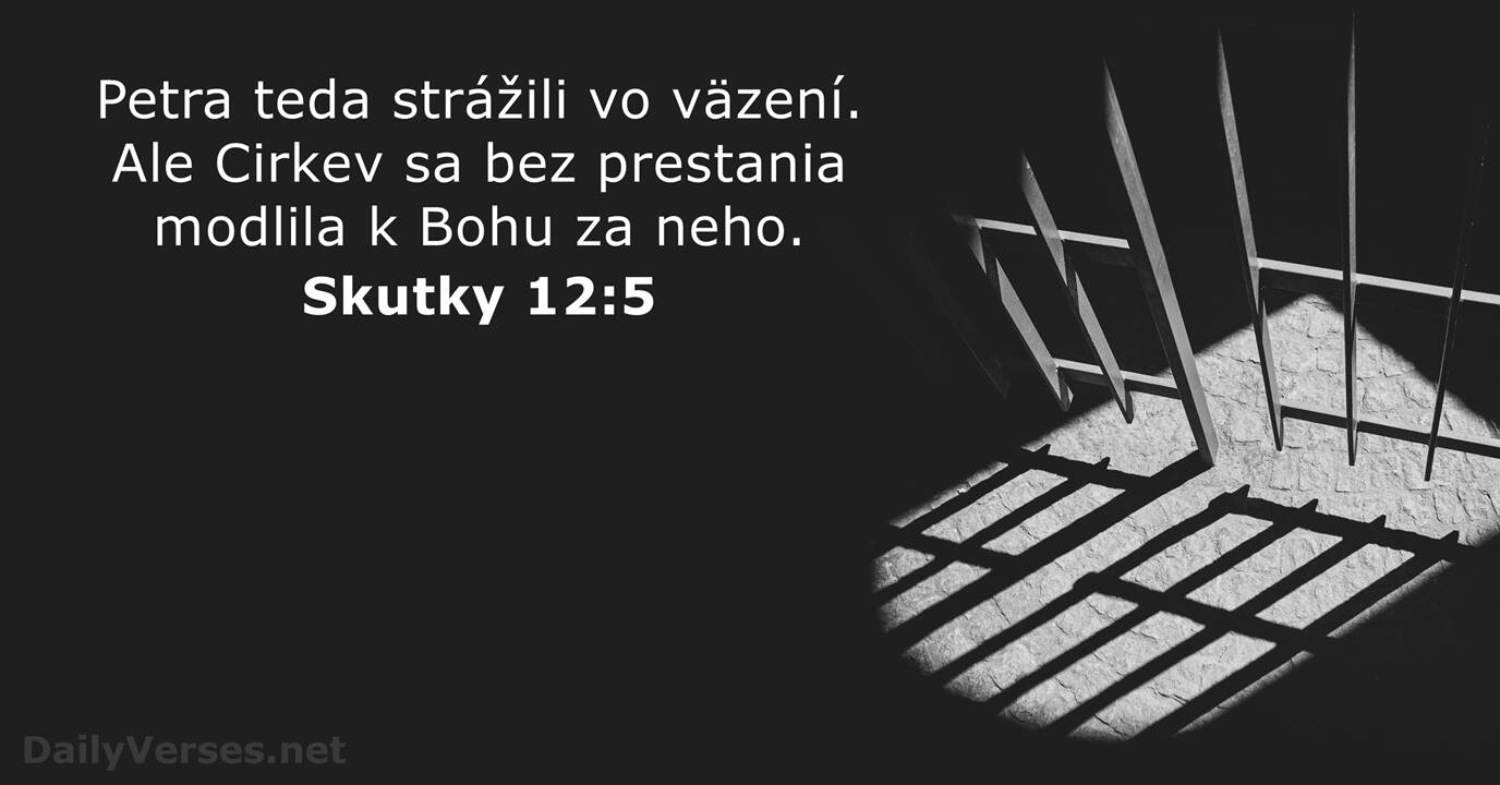 15-decembra-2022-biblick-ver-d-a-skutky-12-5-dailyverses