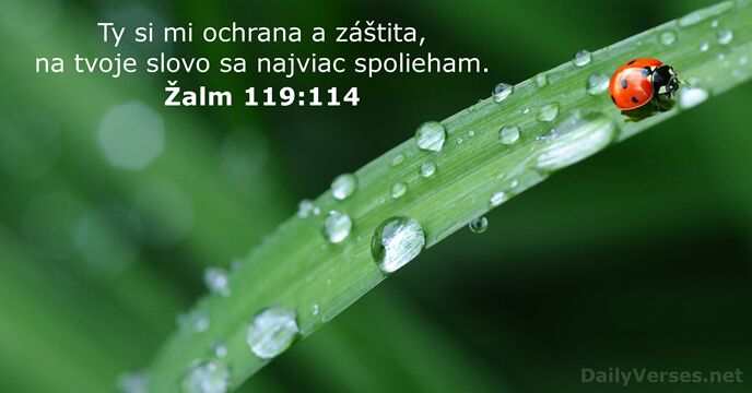 Žalm 119:114
