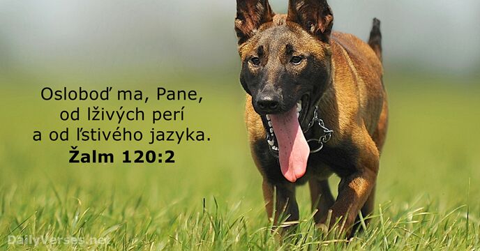 Žalm 120:2