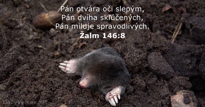 Žalm 146:8