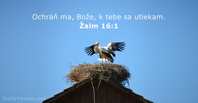 Žalm 16:1