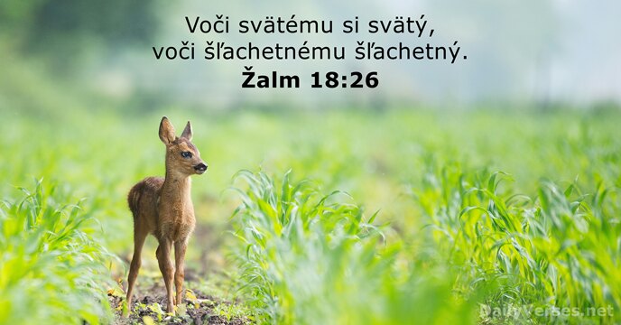 Žalm 18:26