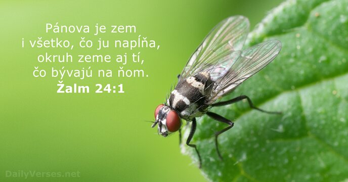 Žalm 24:1