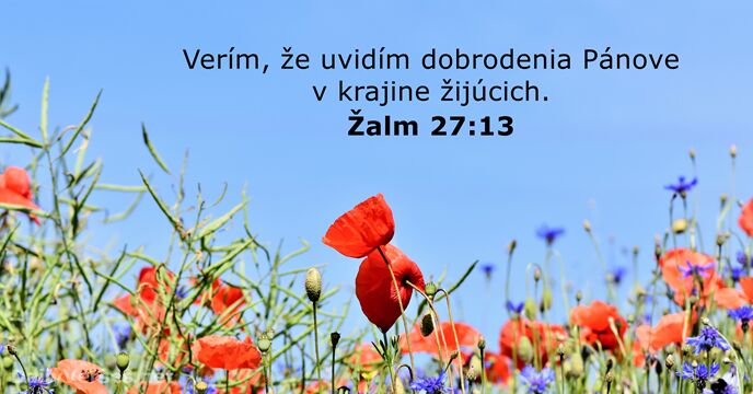 Žalm 27:13