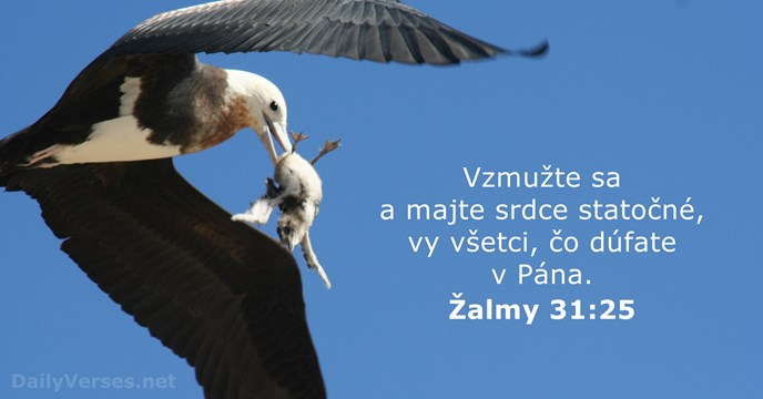 Žalm 31:25