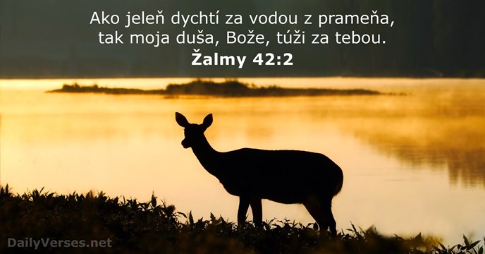Ako jeleň dychtí za vodou z prameňa, tak moja duša, Bože, túži za tebou. Žalm 42:2