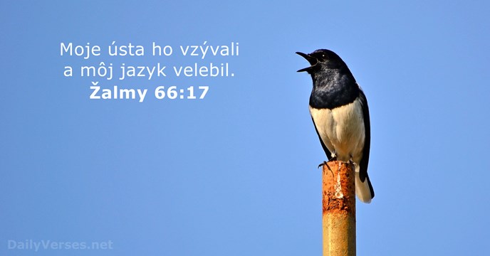 Žalm 66:17