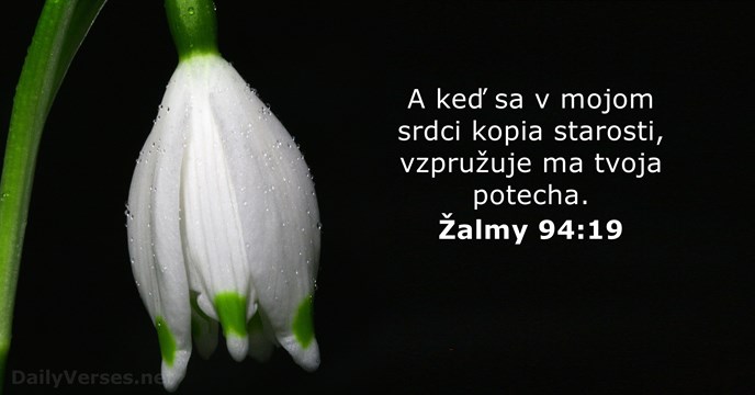 Žalm 94:19