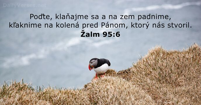 Žalm 95:6