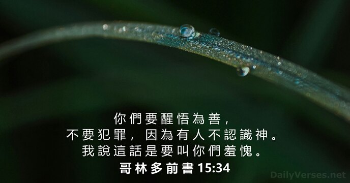 哥 林 多 前 書 15:34