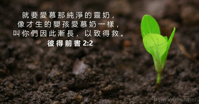 就 要 愛 慕 那 純 淨 的 靈 奶 ， 像… 彼 得 前 書 2:2