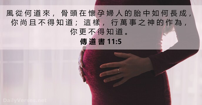 傳 道 書 11:5