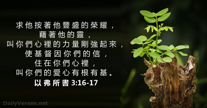 以 弗 所 書 3:16-17