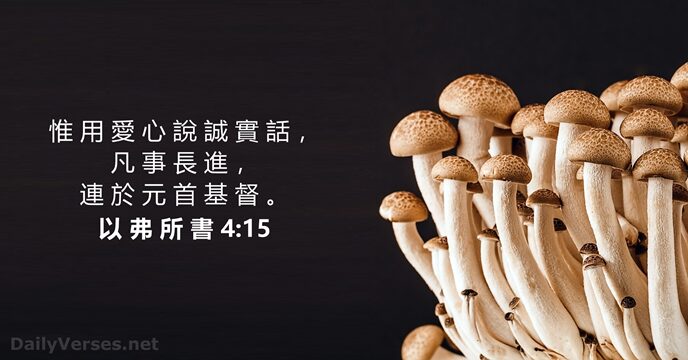 以 弗 所 書 4:15