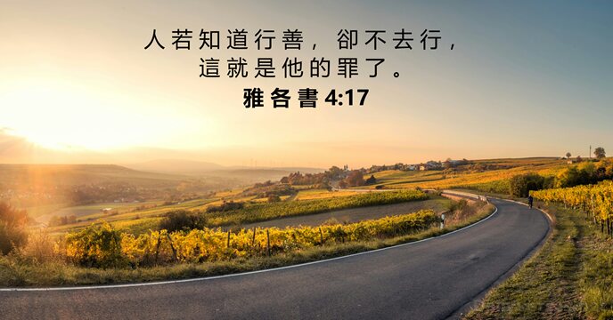 雅 各 書 4:17