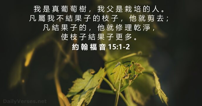 我 是 真 葡 萄 樹 ， 我 父 是 栽 培… 約 翰 福 音 15:1-2