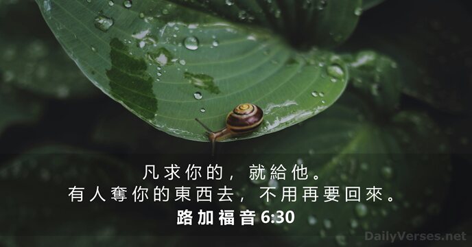 路 加 福 音 6:30