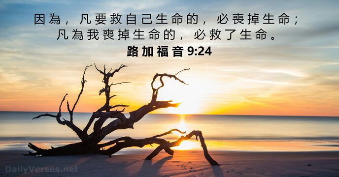 路 加 福 音 9:24