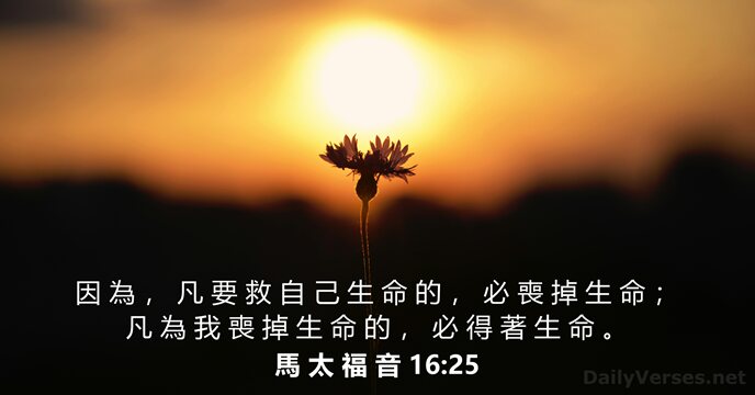 馬 太 福 音 16:25