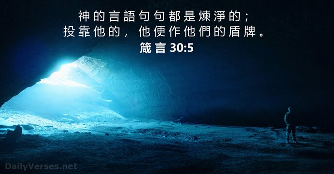 神 的 言 語 句 句 都 是 煉 淨 的 ；… 箴 言 30:5