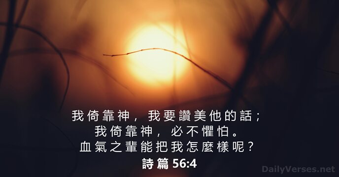 詩 篇 56:4