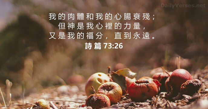詩 篇 73:26