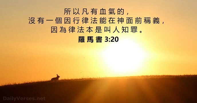 所 以 凡 有 血 氣 的 ， 沒 有 一 個… 羅 馬 書 3:20