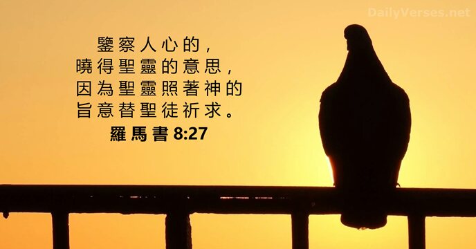 羅 馬 書 8:27
