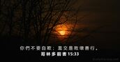 哥 林 多 前 書 15:33