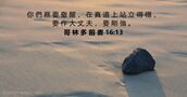 哥 林 多 前 書 16:13