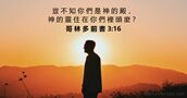 哥 林 多 前 書 3:16