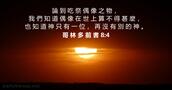 哥 林 多 前 書 8:4