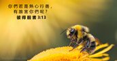 彼 得 前 書 3:13