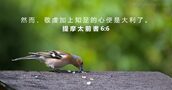 提 摩 太 前 書 6:6