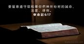 申 命 記 6:17