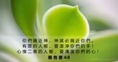 雅 各 書 4:8