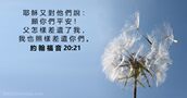 約 翰 福 音 20:21