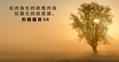 約 翰 福 音 3:6