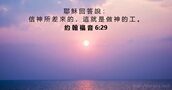 約 翰 福 音 6:29