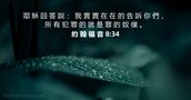 約 翰 福 音 8:34