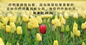 利 未 記 20:26