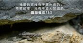 路 加 福 音 12:2