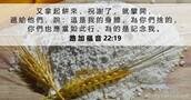 路 加 福 音 22:19