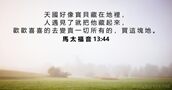 馬 太 福 音 13:44